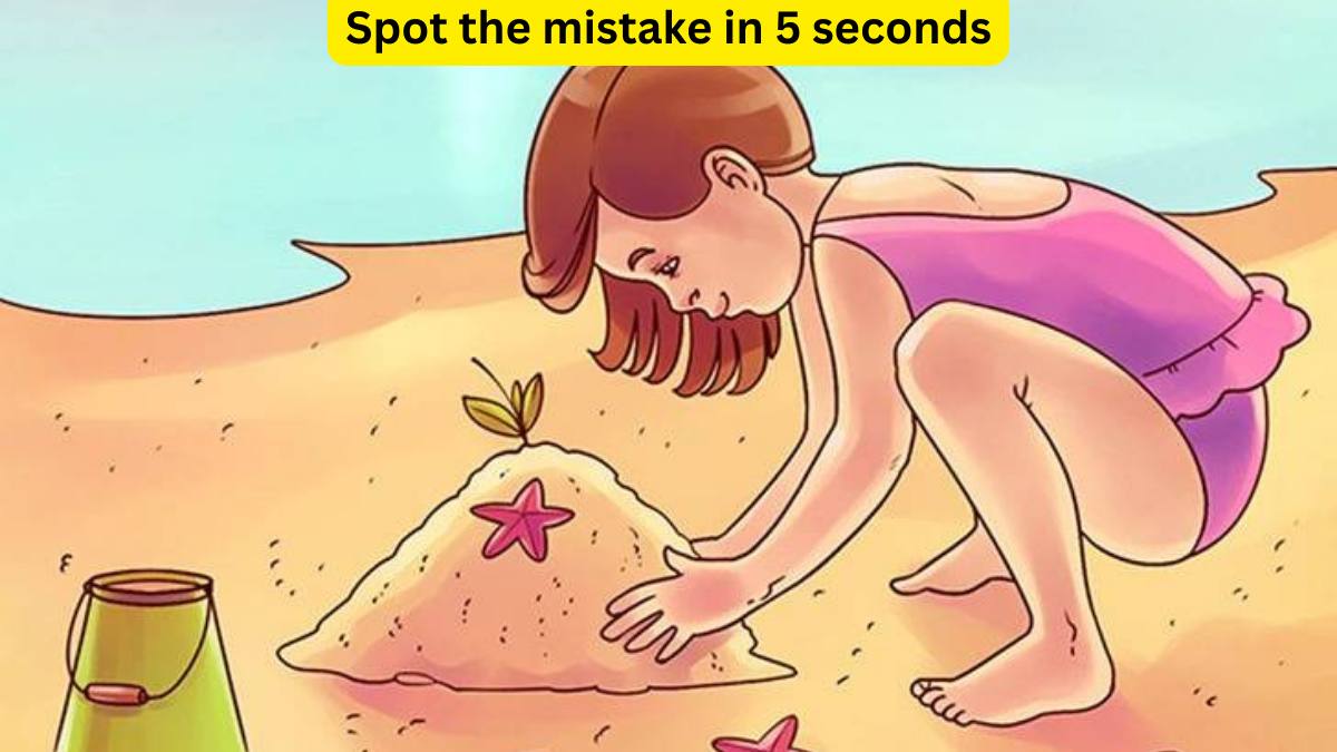 Spot the Mistake: Picture Puzzles Challenge