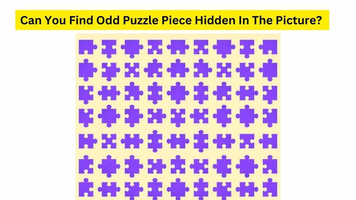 Brain Teaser For Iq Test Can You Find The Odd Piece Of Puzzle Hidden In The Collage Within