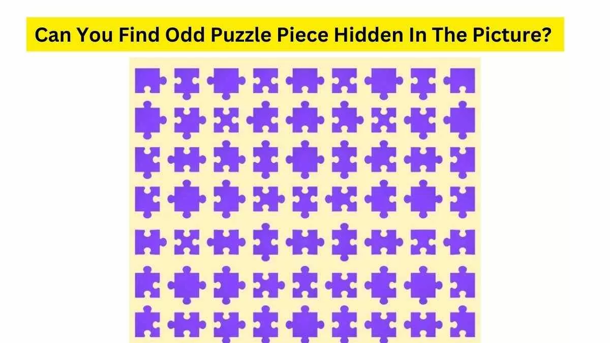 Do you see an odd puzzle piece here?