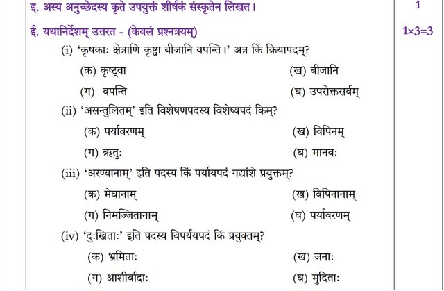 class 10 sanskrit assignment pdf