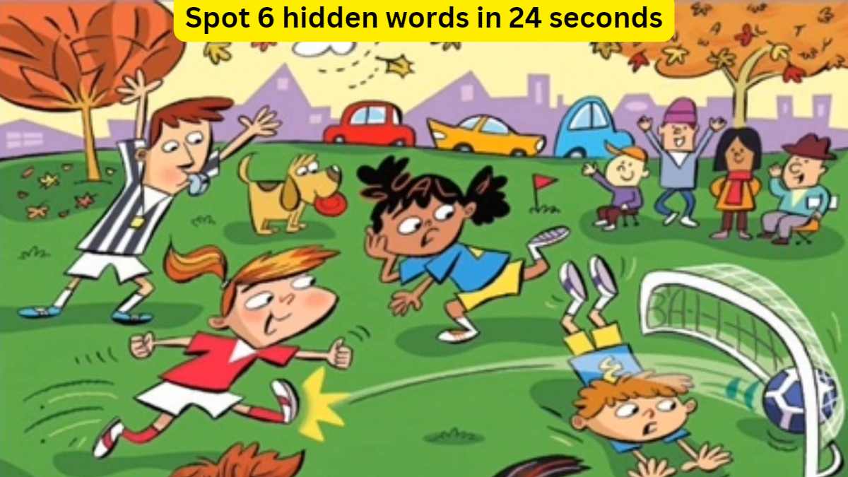 Can you spot 6 words hidden in the basketball image within 24 seconds? Test your observation skills!