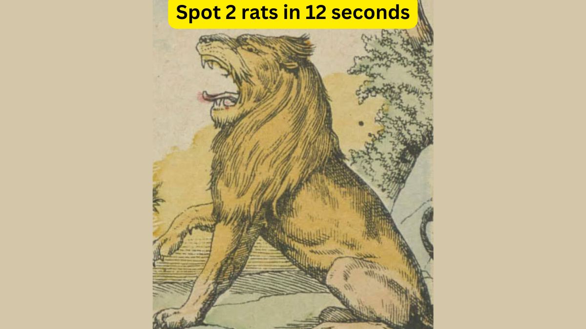 Only 1 out of 9 people can spot two rats hiding from the lion in the jungle picture within 12 seconds!