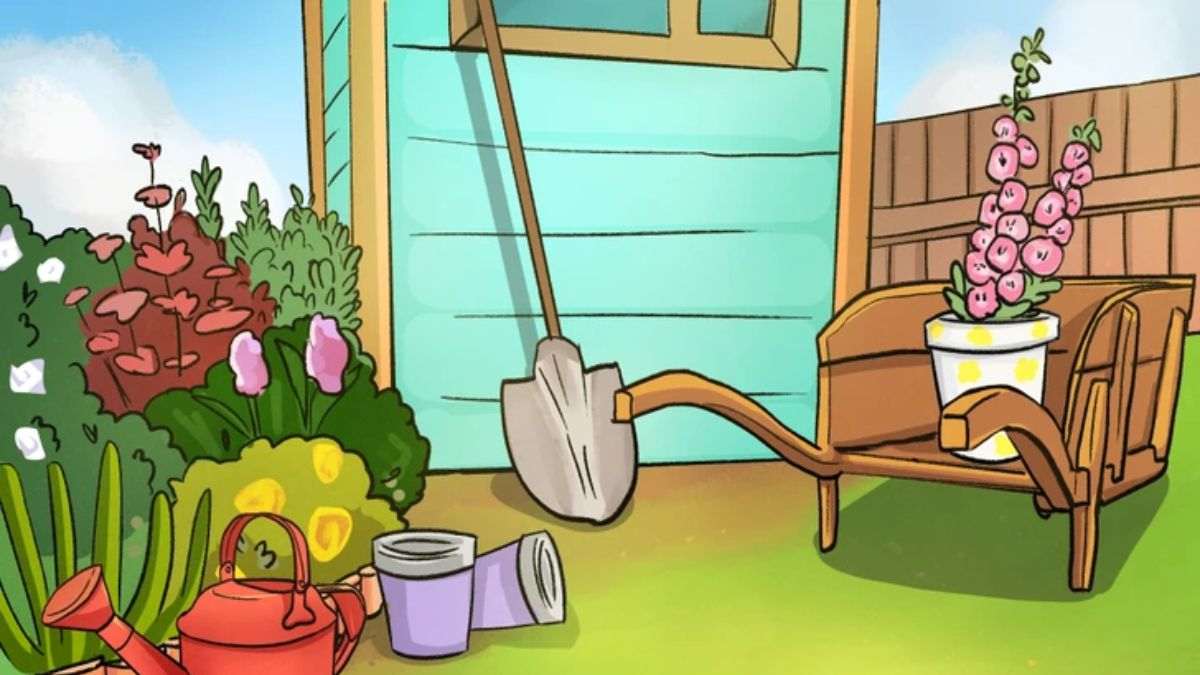 Brain Teaser To Test Your IQ: Can You Spot The Mistake Inside The Backyard Garden Picture in 15 secs?