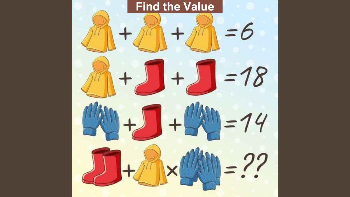 Genius IQ Test: Find the value of raincoat, gloves and boot in 10 seconds!