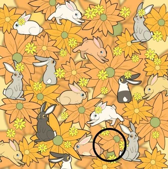 hidden objects optical illusions with answers