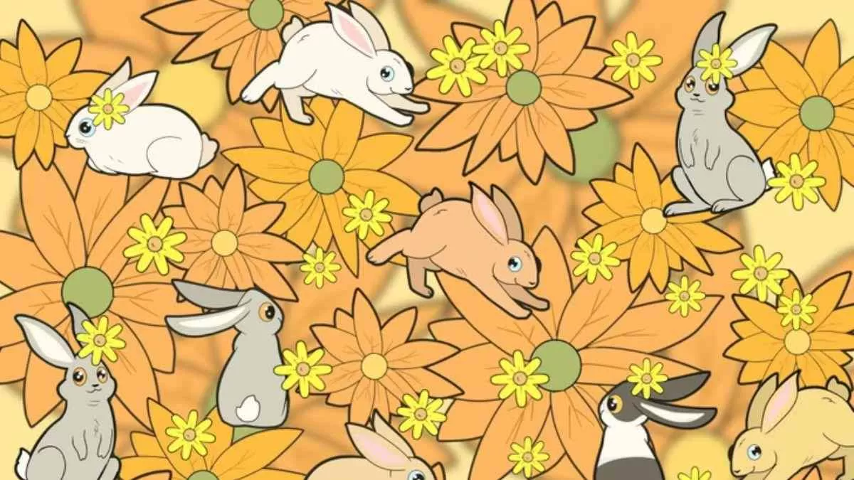 Find the carrot among rabbits.