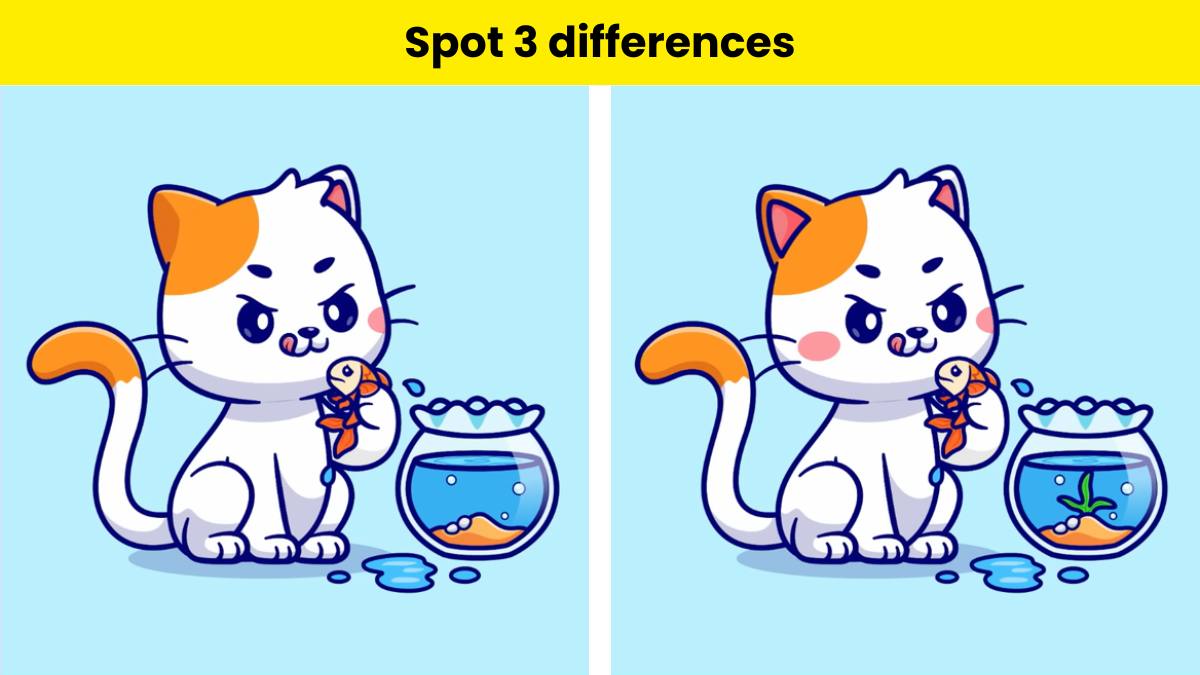 You are highly intelligent if you can spot 3 differences in the cat eating fish picture within 12 seconds. 