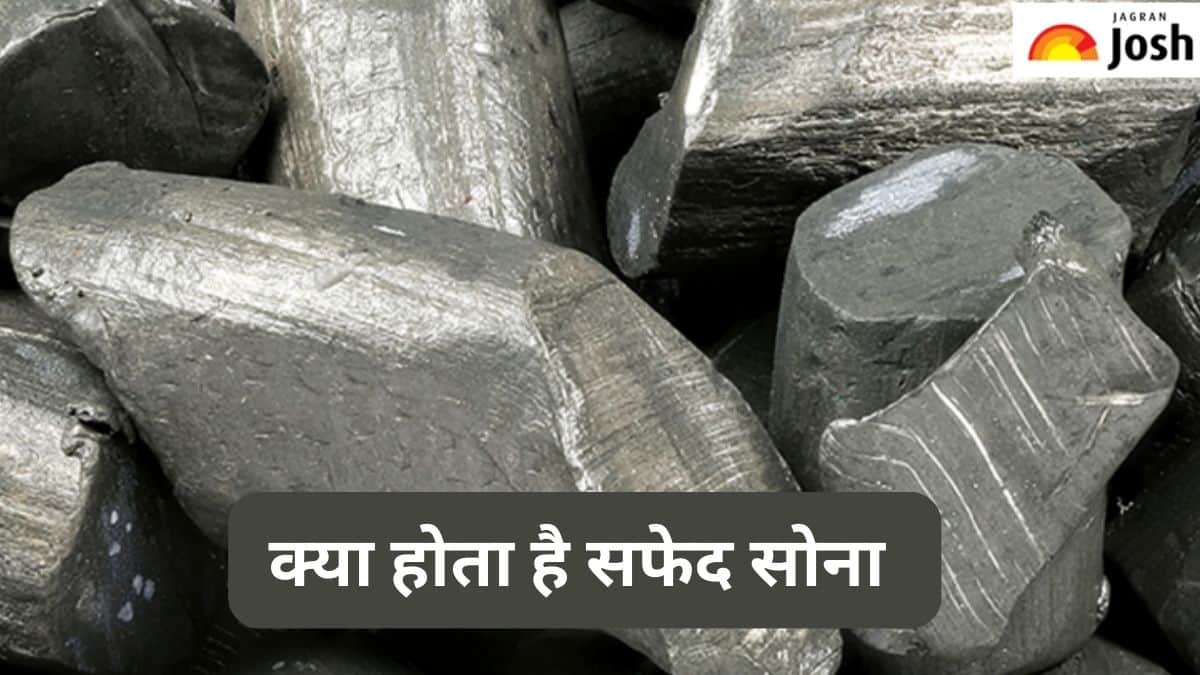 Dhanteras 2023: क्या होता है सफेद सोना, जानें 