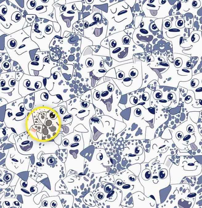 hidden animals picture puzzles with answers