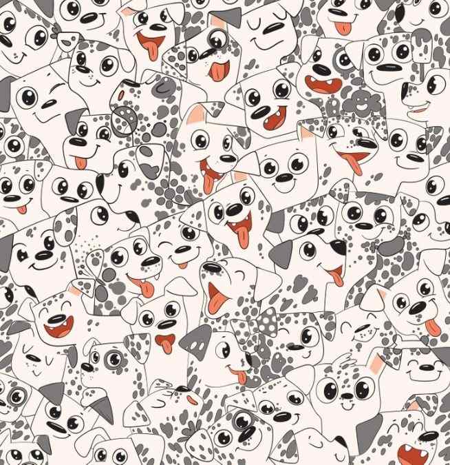 puzzles for kids find hidden animals