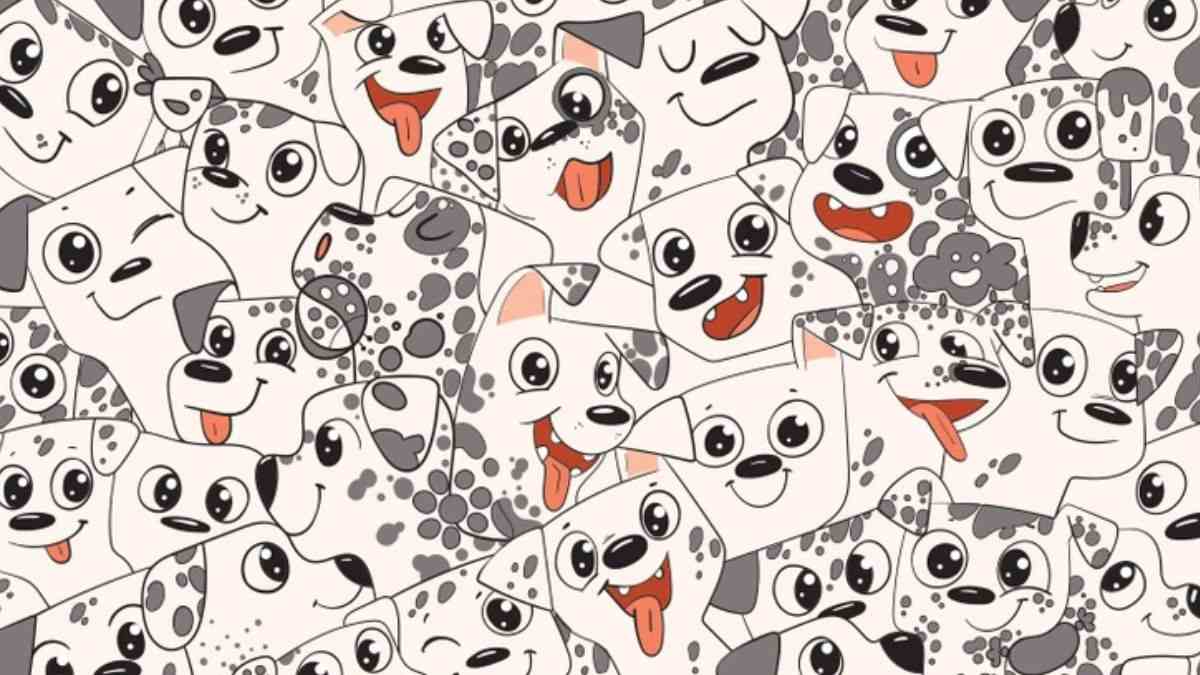 Only 1% Highly Genius People Can Spot The Butterfly Among Dogs Within 6 Seconds!