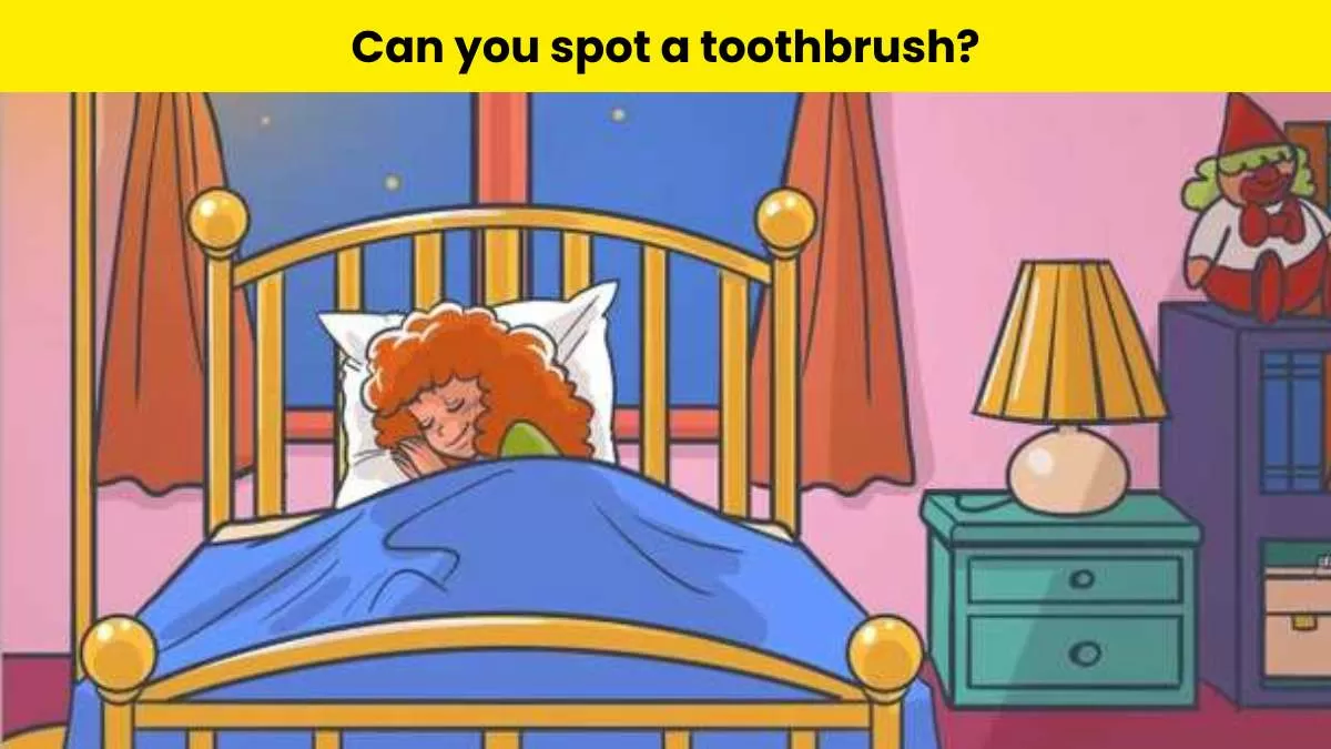 Brain Teaser: Spot the hidden toothbrush                  
