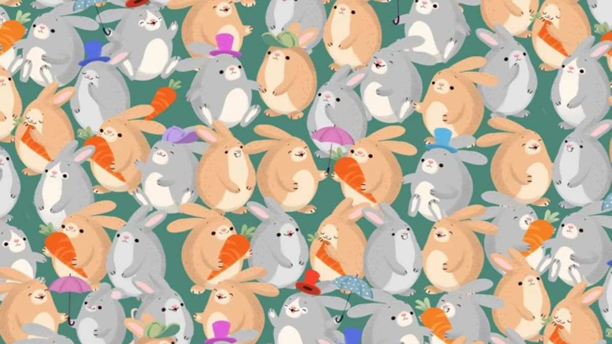 Optical Illusion to Test Your IQ: Can You Spot the Mouse Hidden Among Rabbits in Picture within 15 Secs?
