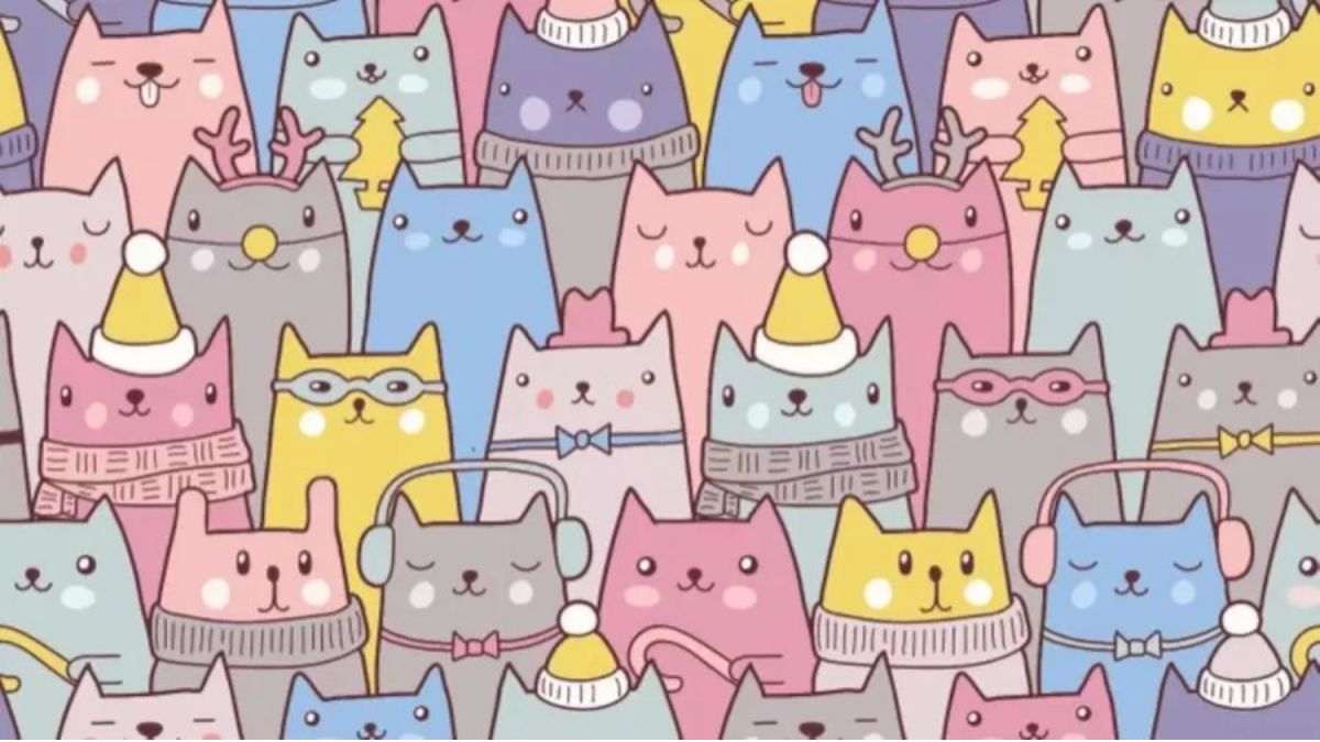 There Is a Bunny Hiding Among Cats In This Optical Illusion, Can You Spot It In 11 Seconds?