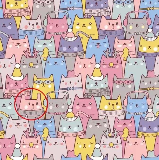 There Is A Bunny Hiding Among Cats In This Optical Illusion, Can You ...