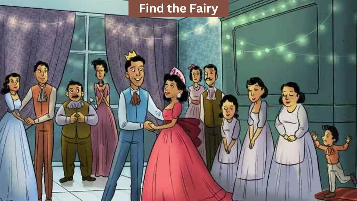 Find fairy in the party