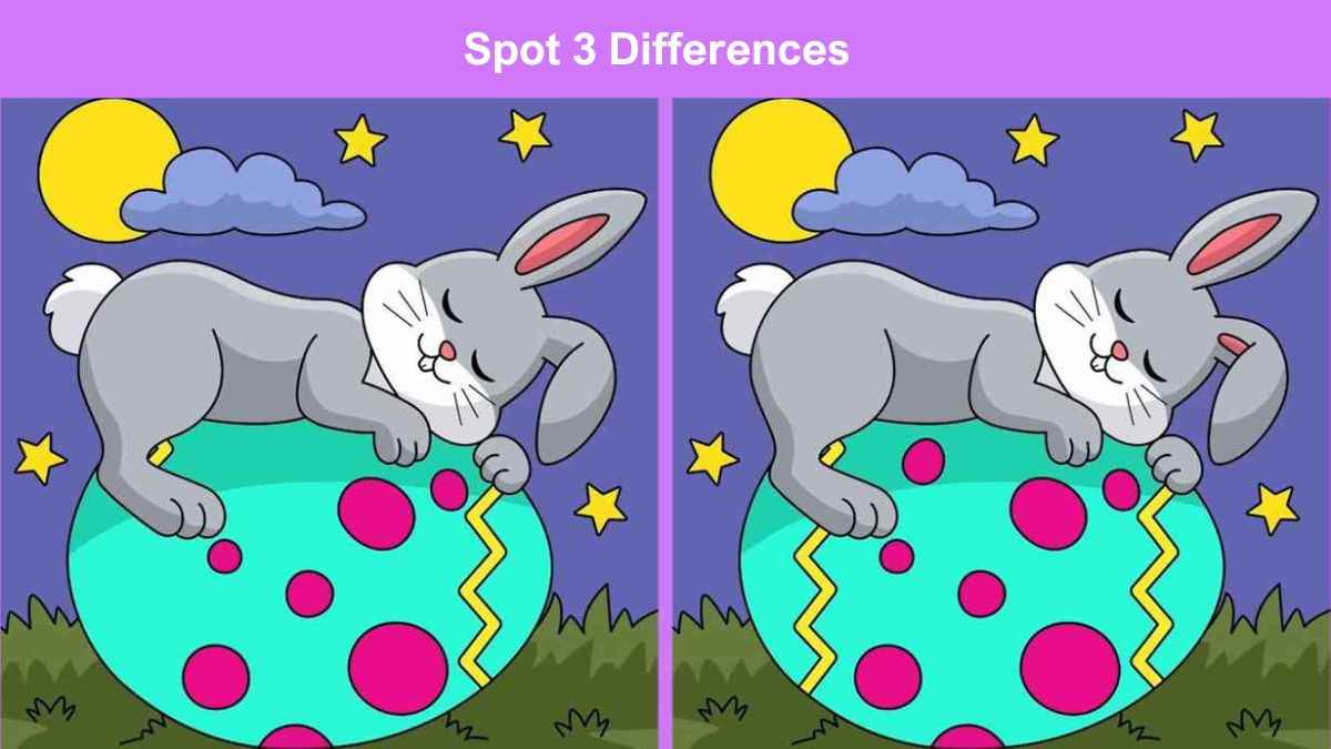 Spot 3 differences between the bunny sleeping on easter egg pictures in ...