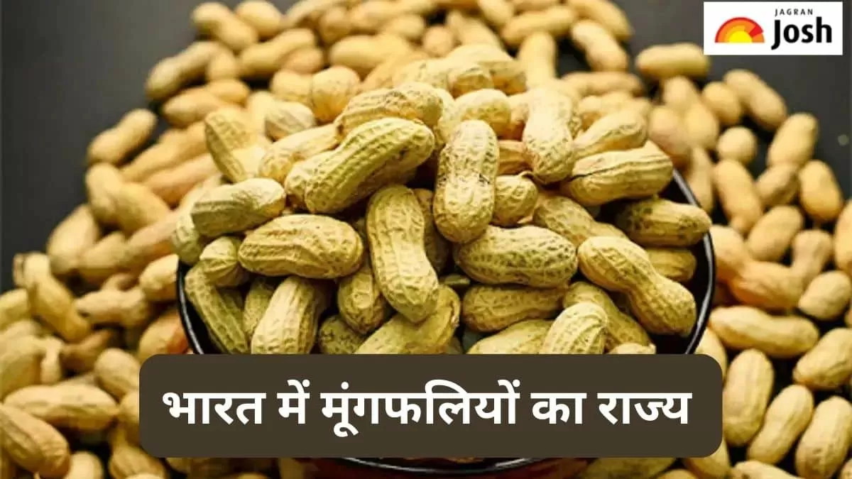 भारत में मूंगफलियों का राज्य