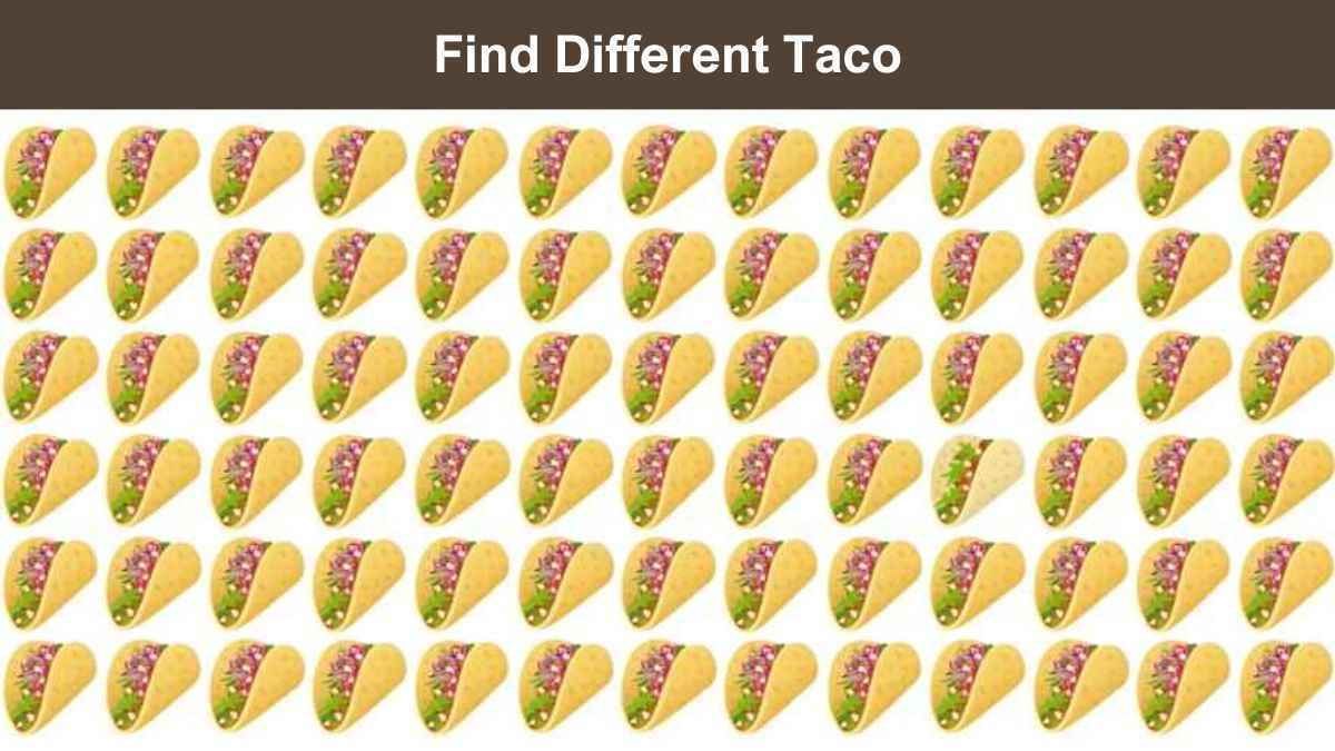 Taco HD wallpapers | Pxfuel