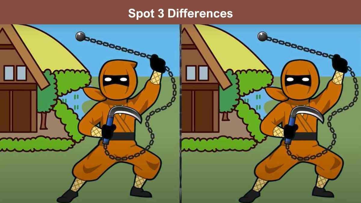 Spot 3 differences between the ninja pictures in 8 seconds!