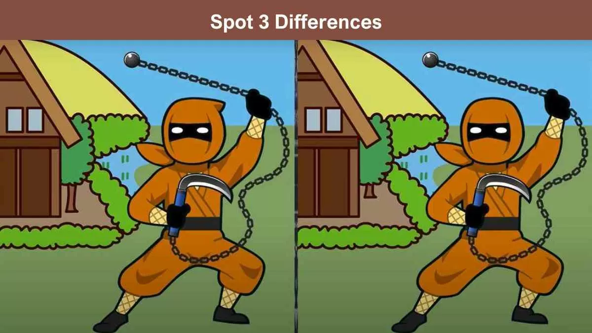 Spot 3 differences ninja