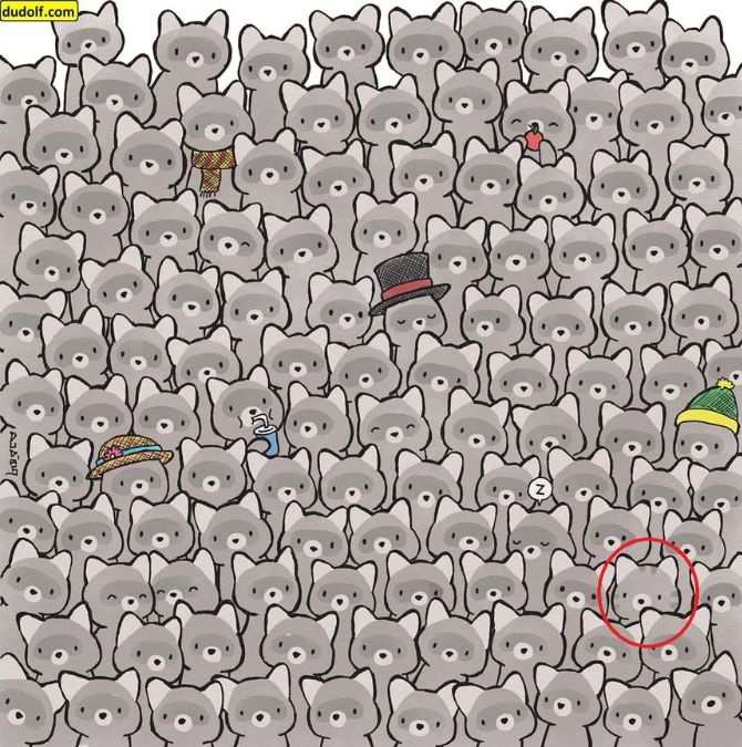 hidden optical illusions with answers