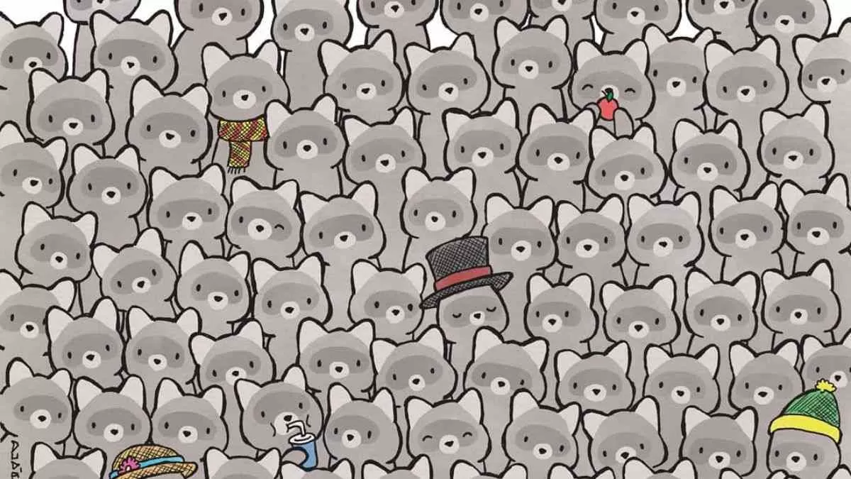 Find the cat among raccoons.