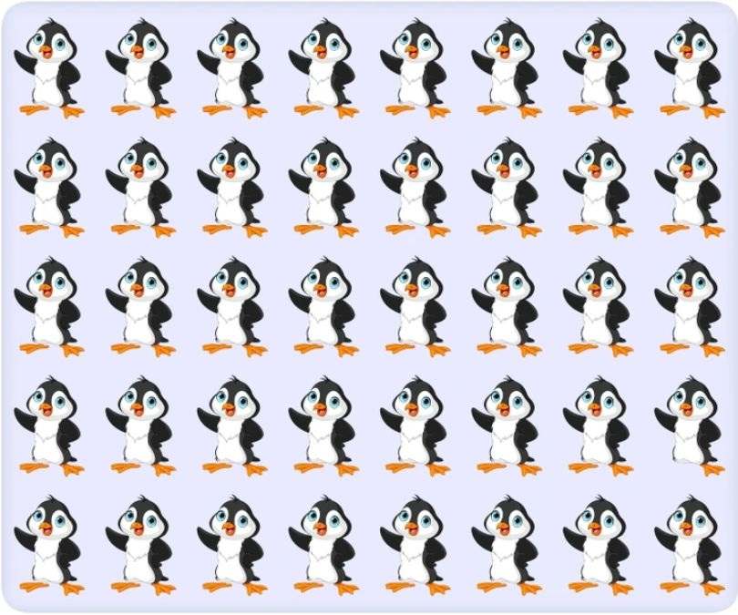 picture puzzles for kids