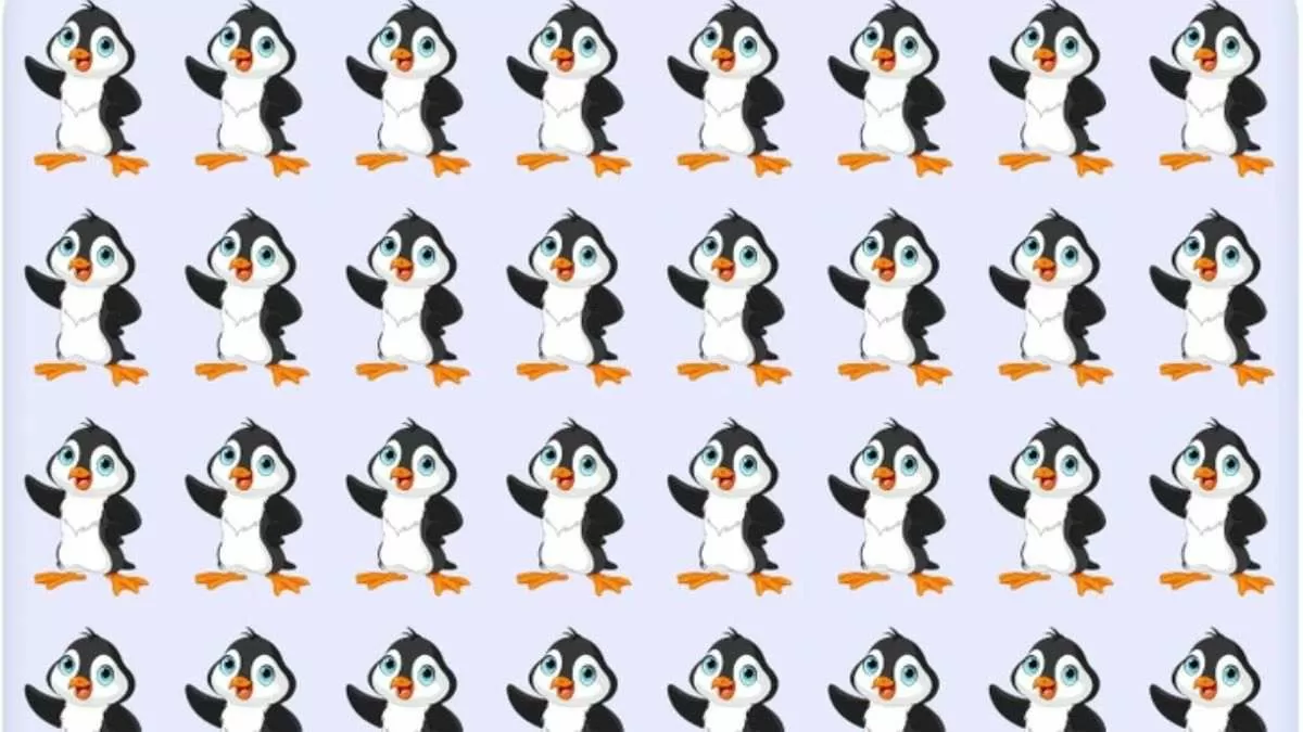 Picture Puzzle: Spot One Penguin That Is Different.