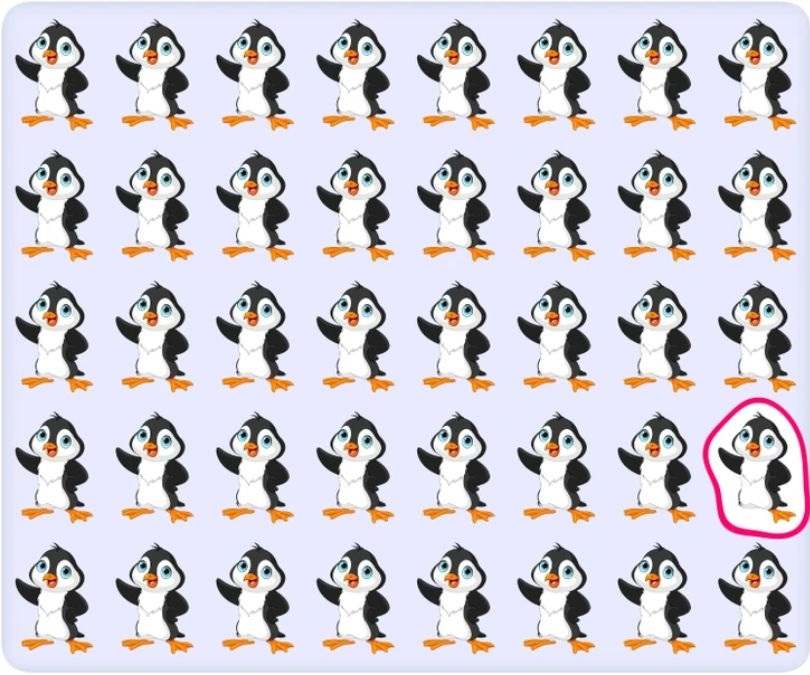 hidden picture puzzles with answers