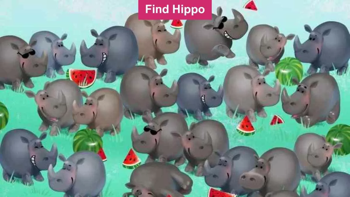 Find hippo among rhinos