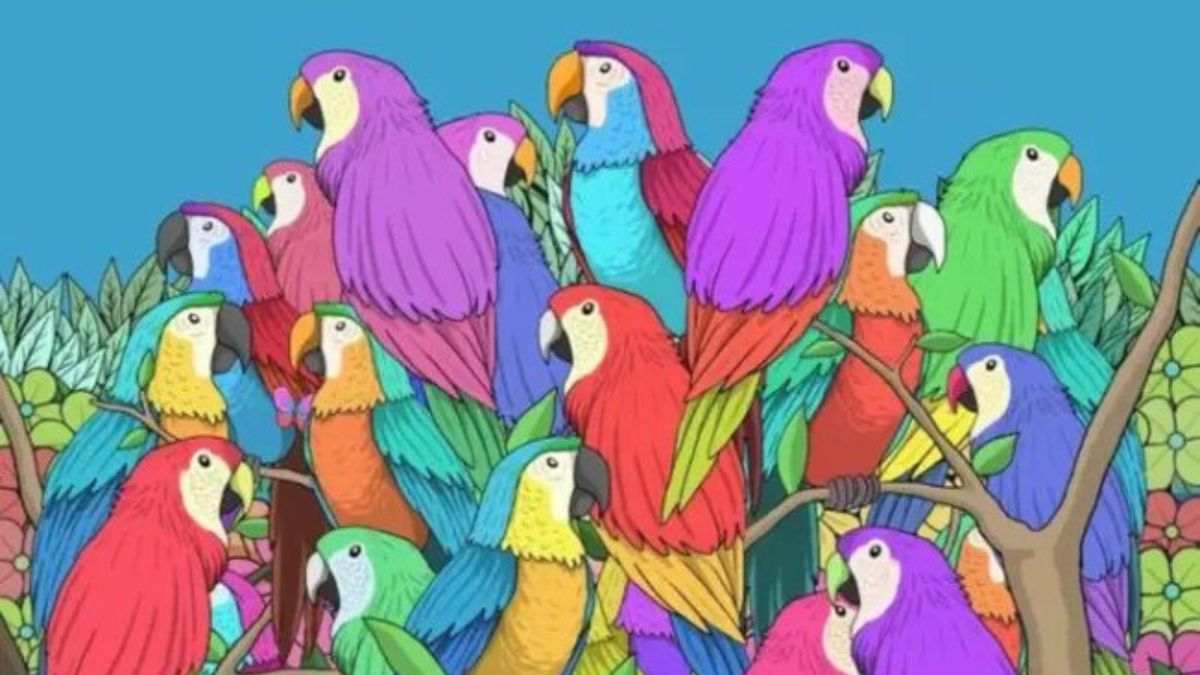 You Have 4K Vision If You Can Spot The Butterfly Hidden Among Parrots In 11 Seconds!