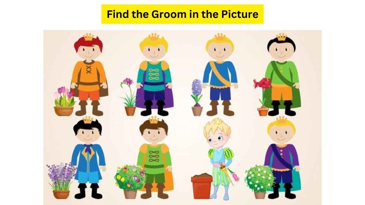 Brain Teaser IQ Test:  Can You Find The Real Prince Among All To Marry Princess in 11 Seconds? 