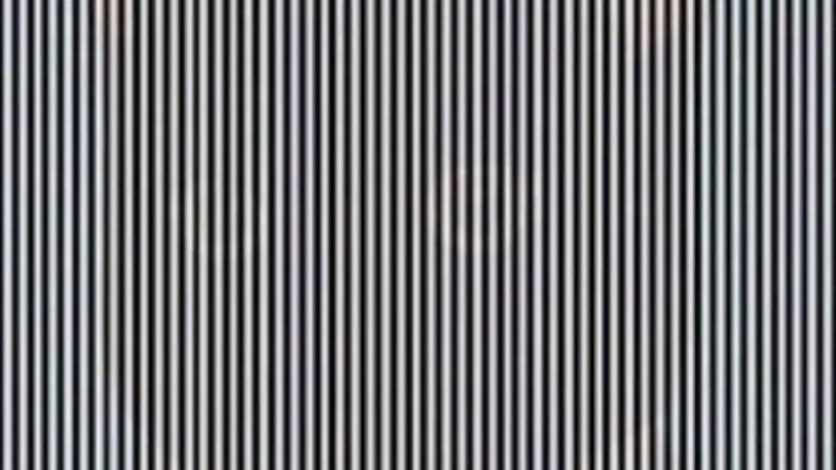 Only Optical Illusion Champions Can Spot The Hidden Animal In 11 Seconds!