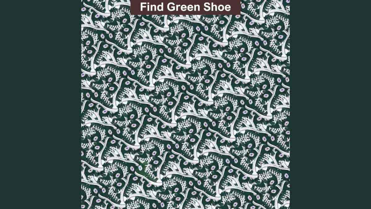 Only eagle eyed persons can spot the green sneaker in the picture in 7 seconds!