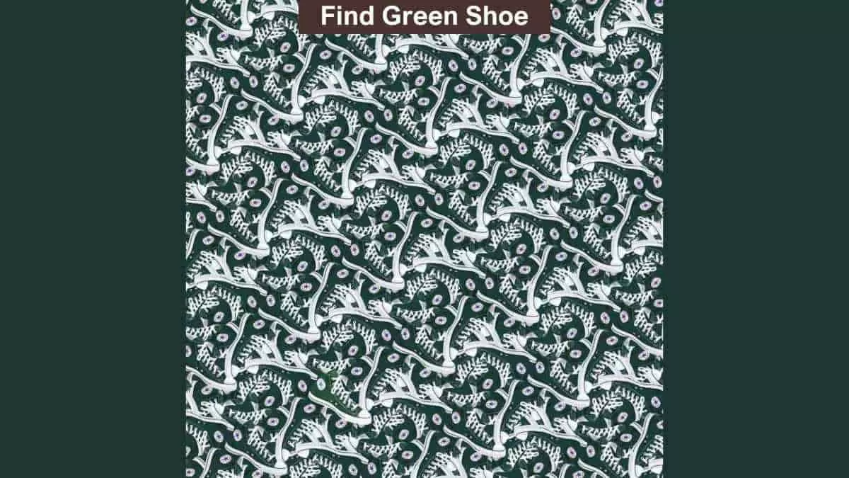 Spot the green sneaker 