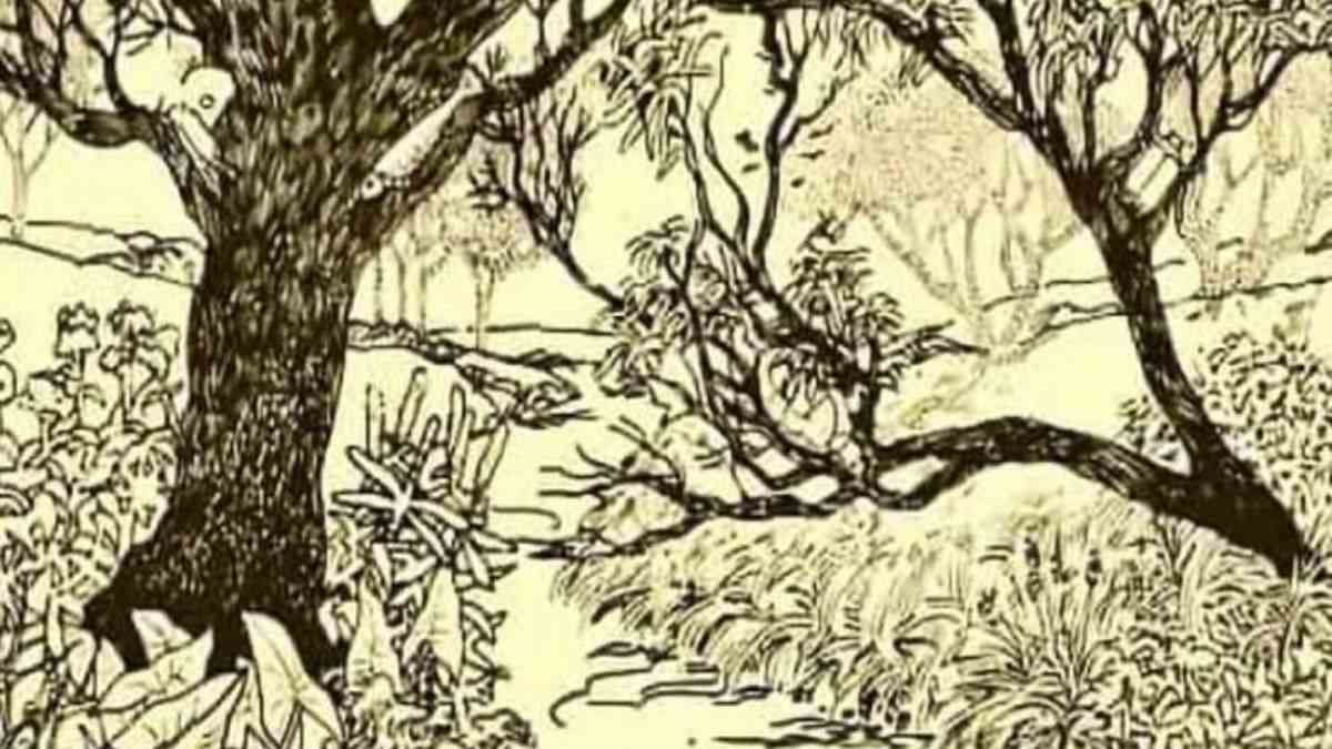 Can You Spot A Fish Hidden In This Jungle Scene Within 11 Seconds?