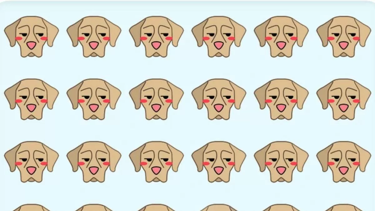 Spot The Odd Dog.