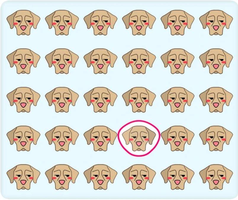 odd one out puzzles with answers