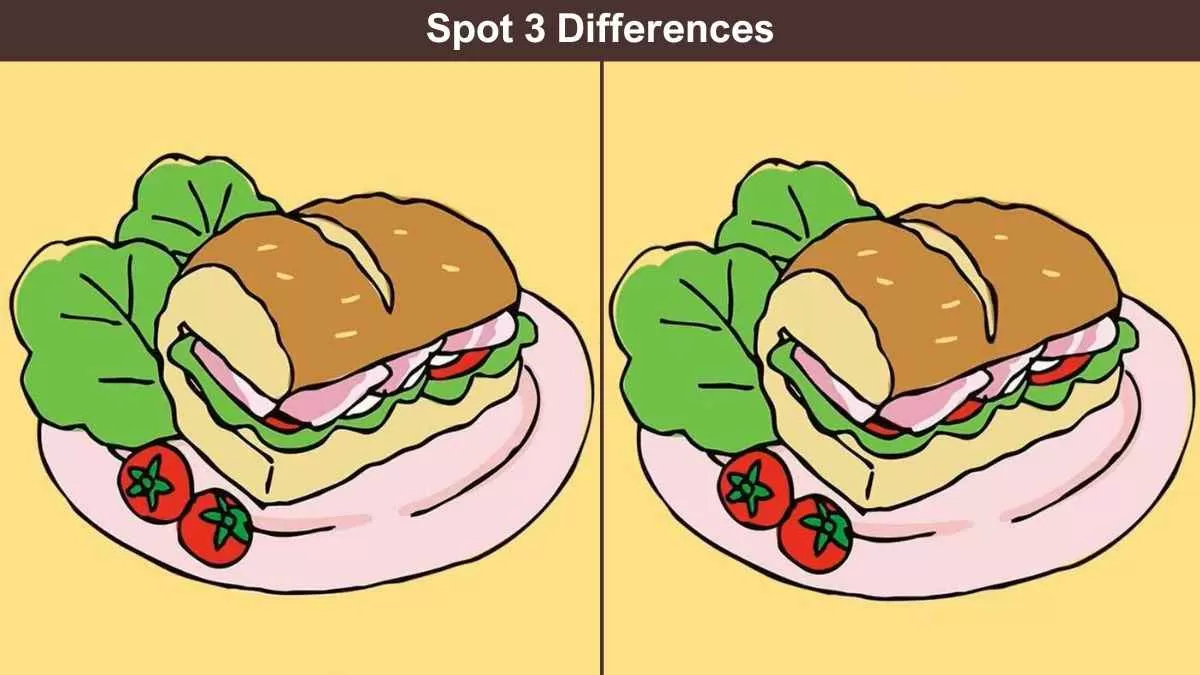 Spot 3 differences veg sub
