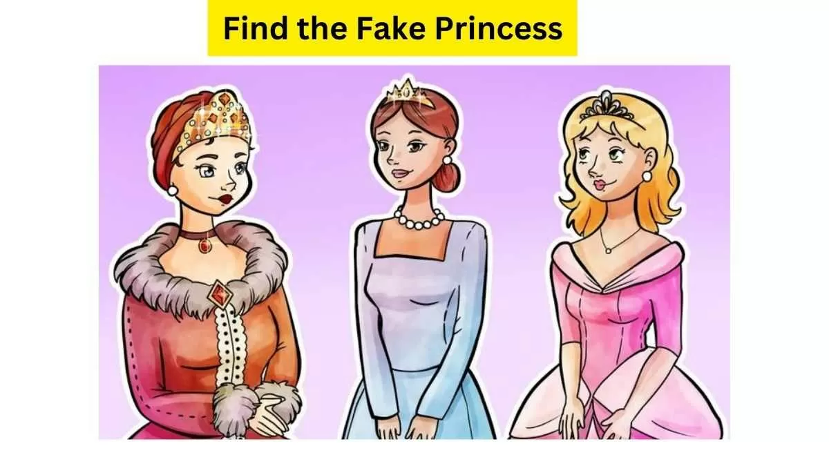 Do You See A Fake Princess Here?