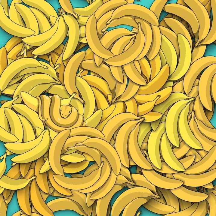 Optical Illusion IQ Test: Can You Spot The Hidden Snake Among Bananas In The Picture Within 5 Secs?