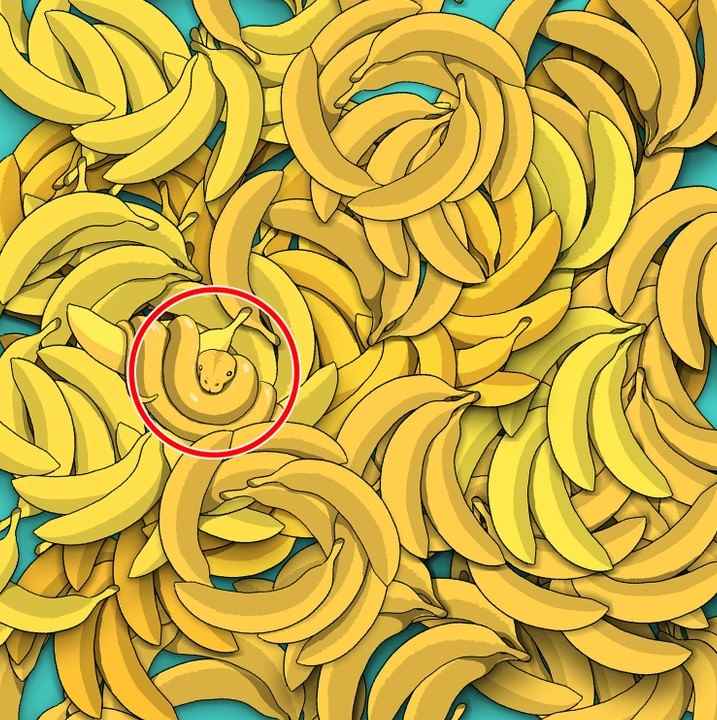 Optical Illusion IQ Test: Can You Spot The Hidden Snake Among Bananas In The Picture Within 5 Secs?