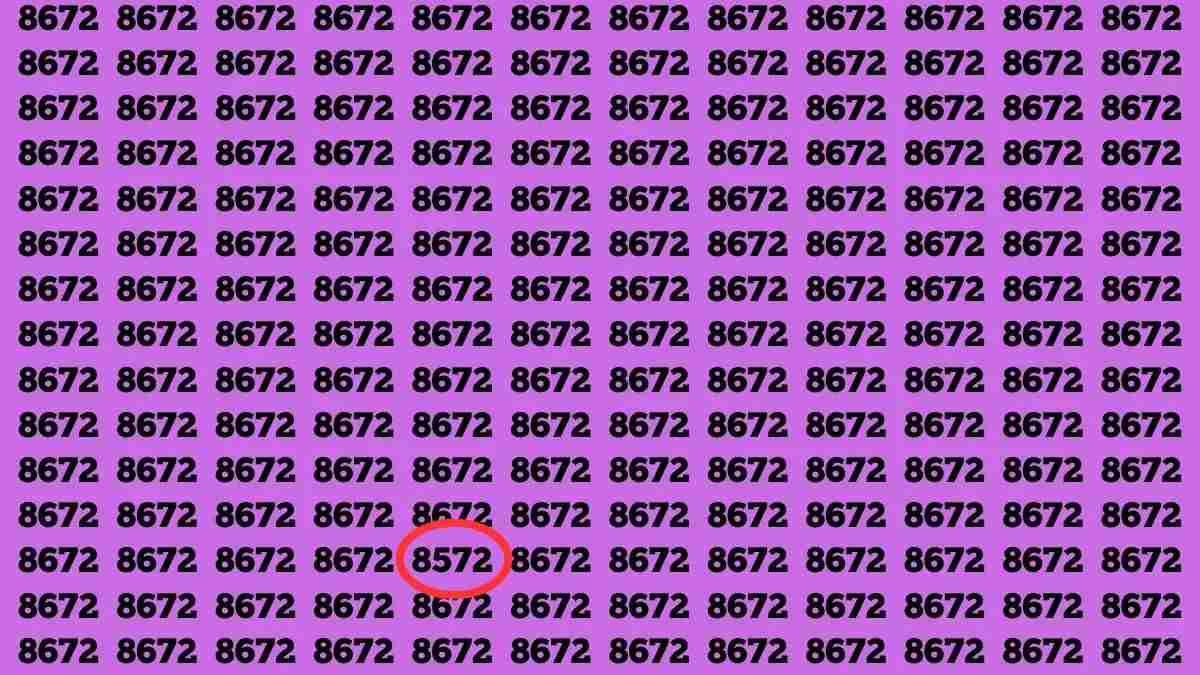 hidden optical illusions with answers