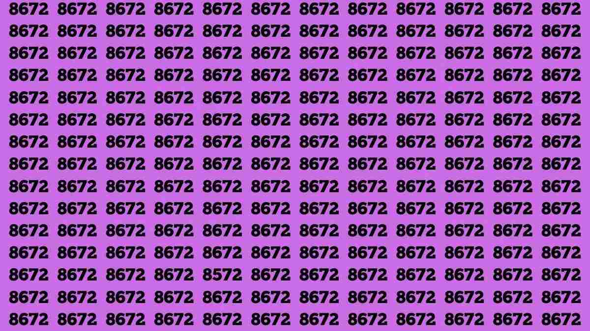 Only Eagle Eyes Can Spot The Hidden Number 8572 Among 8672s within 11 Seconds!