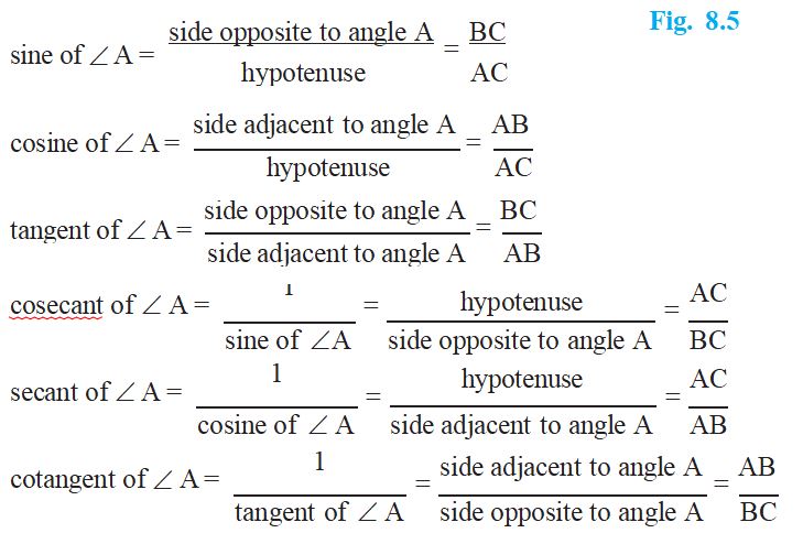 CBSE Class 10 Mathematics Chapter 8 Introduction to Trigonometry Notes ...