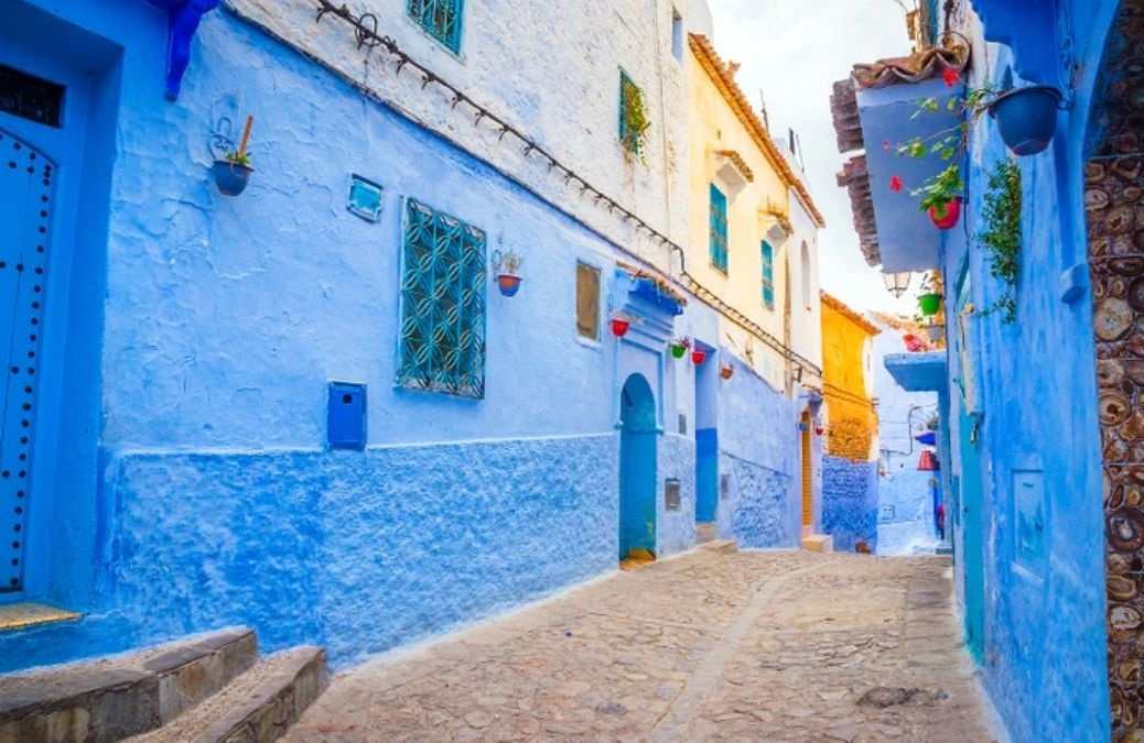 find hidden animal picture puzzles