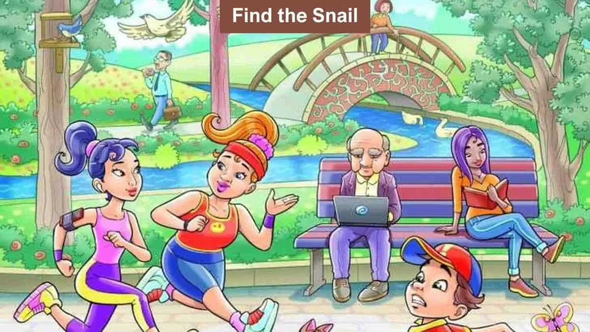 Find the snail