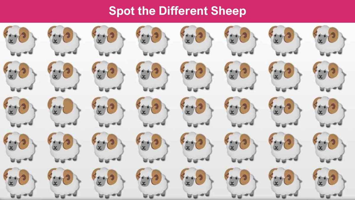 You have HD eyes if you can spot the different sheep in 7 seconds!