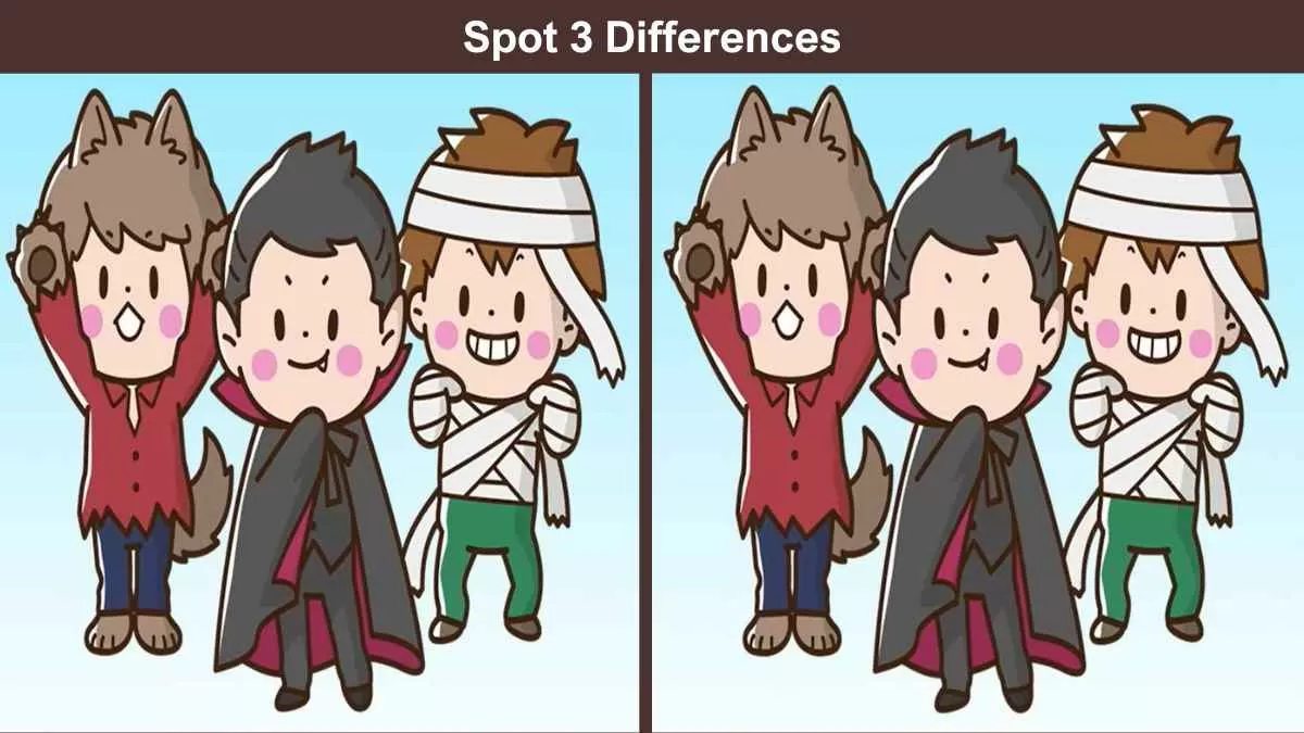 Spot 3 differences costume party